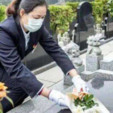 实地选墓