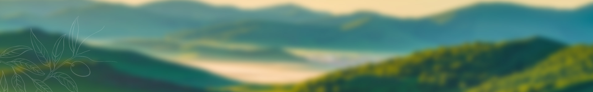 中华永久陵园