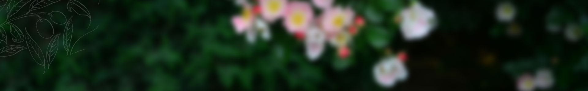 价格